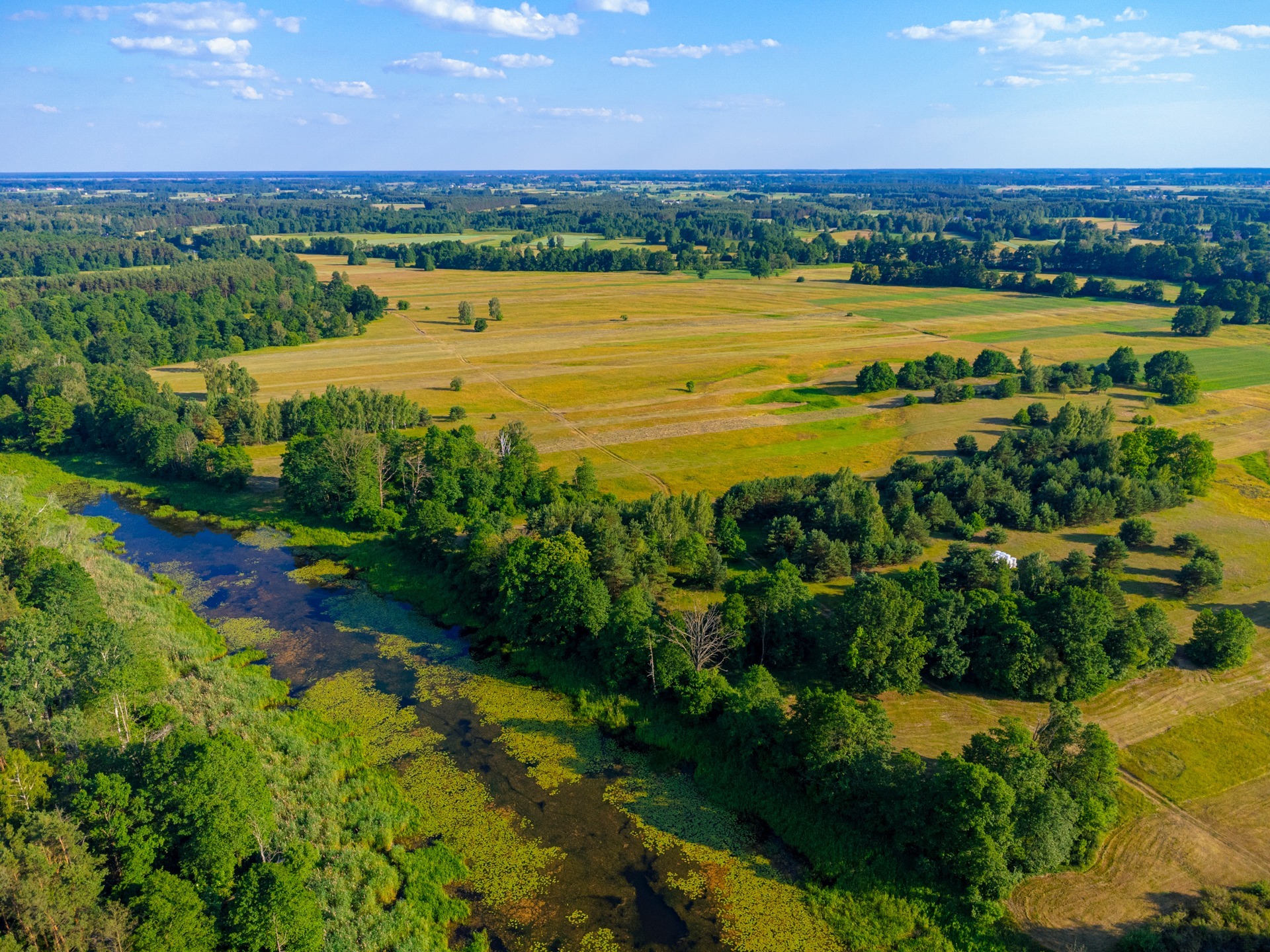 aerial-view-of-small-lake-and-field