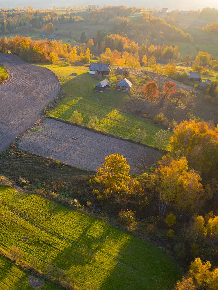Cleared land